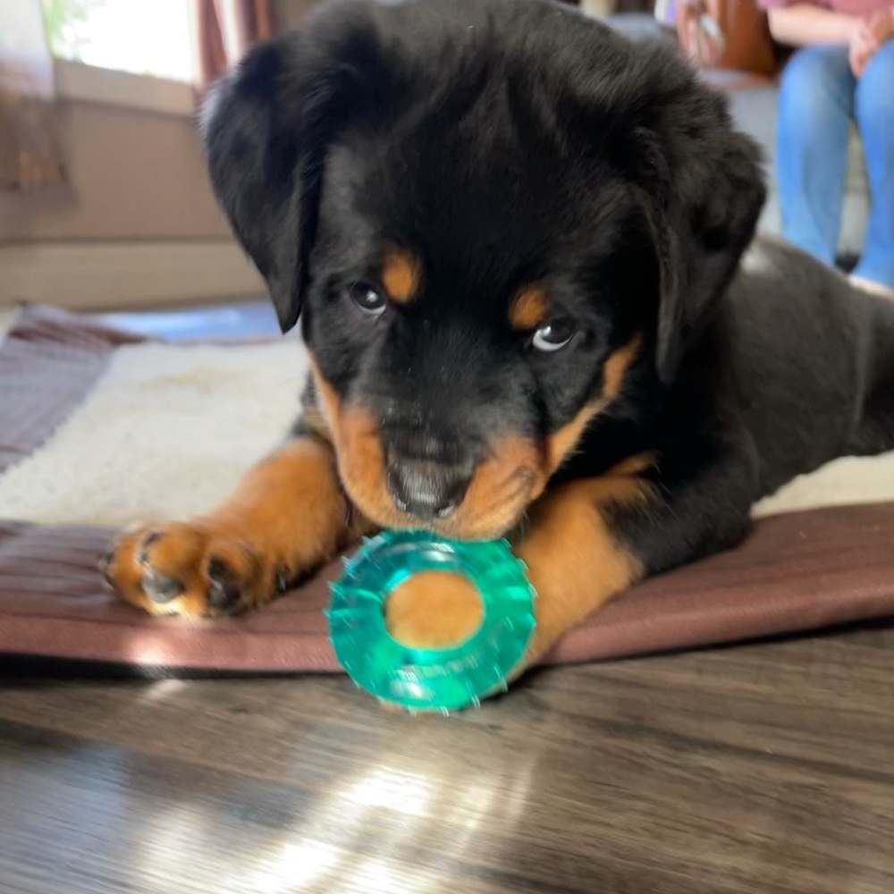 Meet your Posher, Stephany